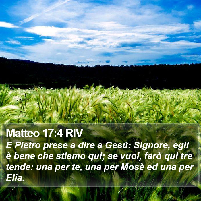 Matteo 17:4 RIV Bible Study