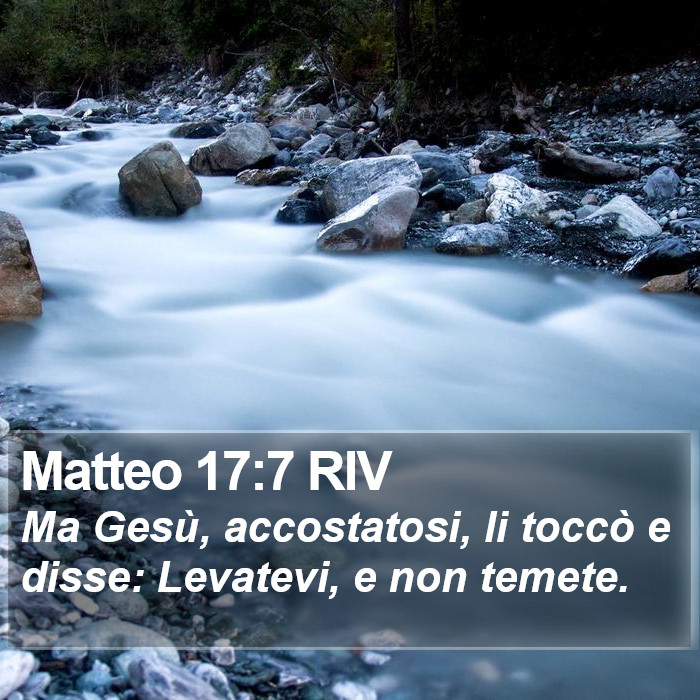 Matteo 17:7 RIV Bible Study