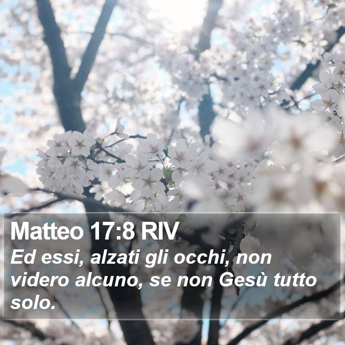 Matteo 17:8 RIV Bible Study