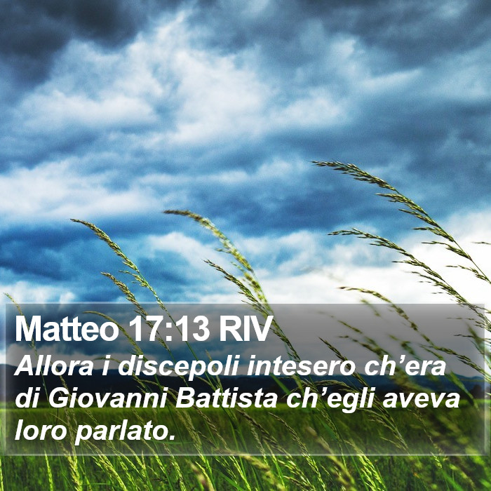 Matteo 17:13 RIV Bible Study