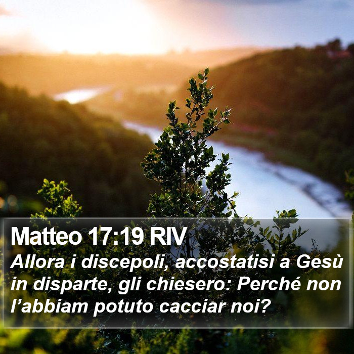 Matteo 17:19 RIV Bible Study