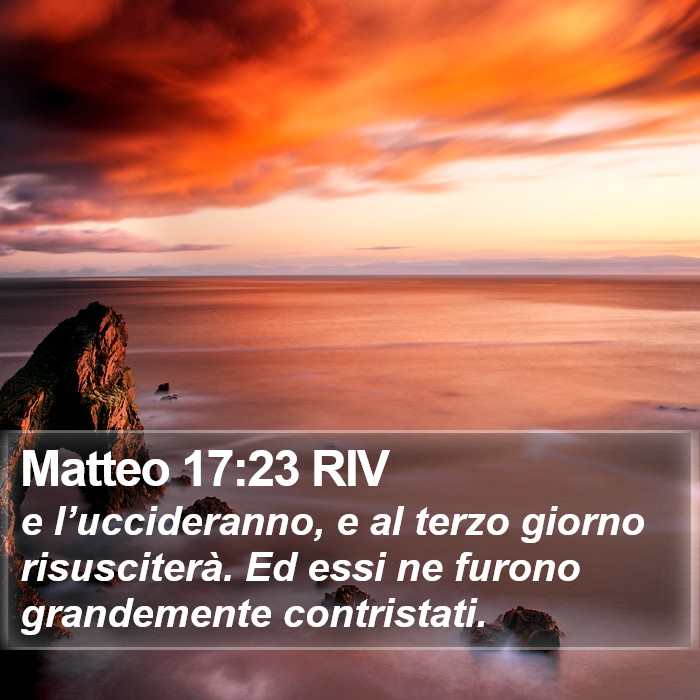 Matteo 17:23 RIV Bible Study