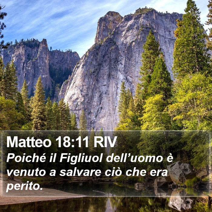 Matteo 18:11 RIV Bible Study