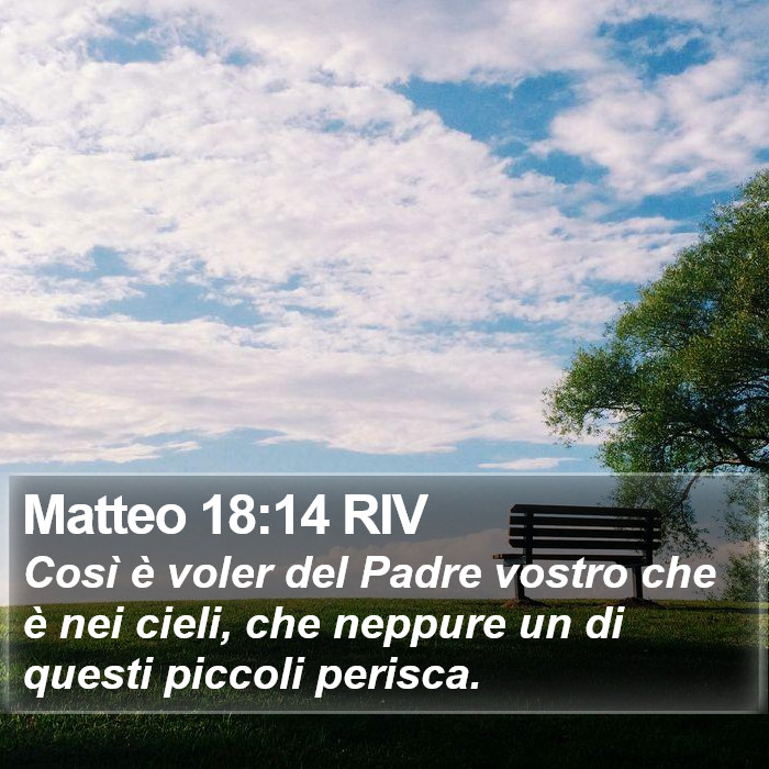 Matteo 18:14 RIV Bible Study