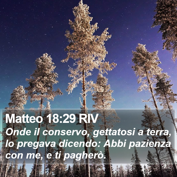 Matteo 18:29 RIV Bible Study