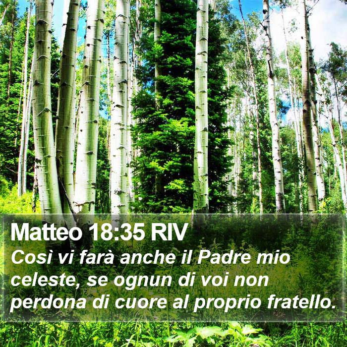 Matteo 18:35 RIV Bible Study