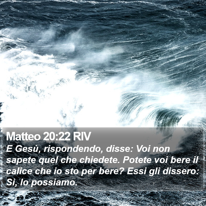 Matteo 20:22 RIV Bible Study