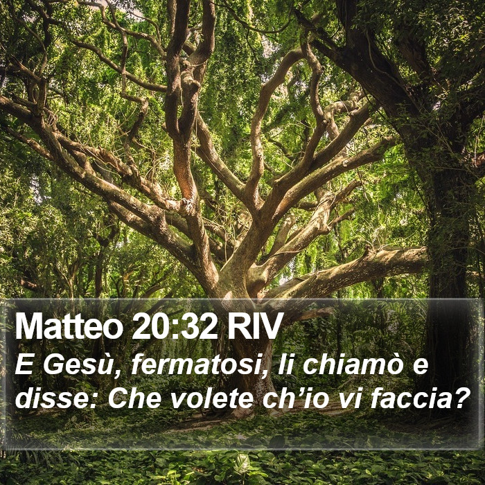 Matteo 20:32 RIV Bible Study