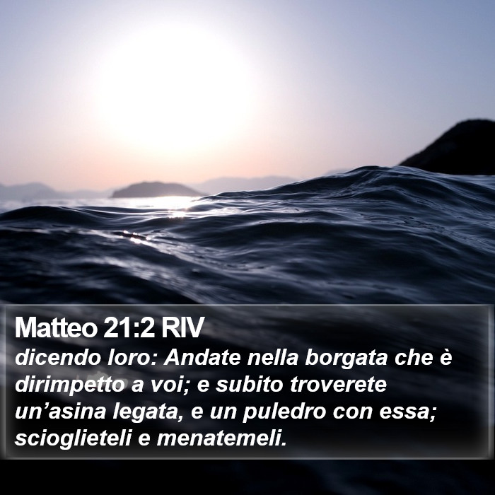 Matteo 21:2 RIV Bible Study