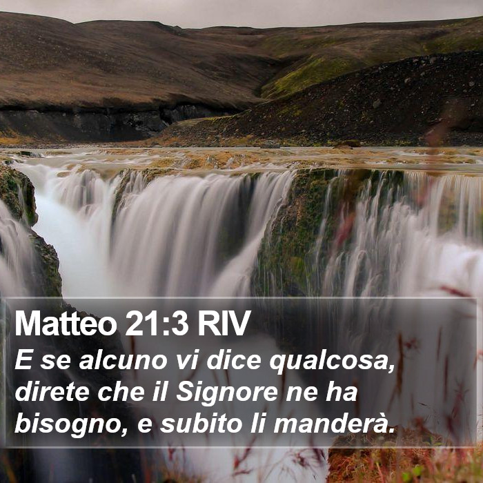 Matteo 21:3 RIV Bible Study