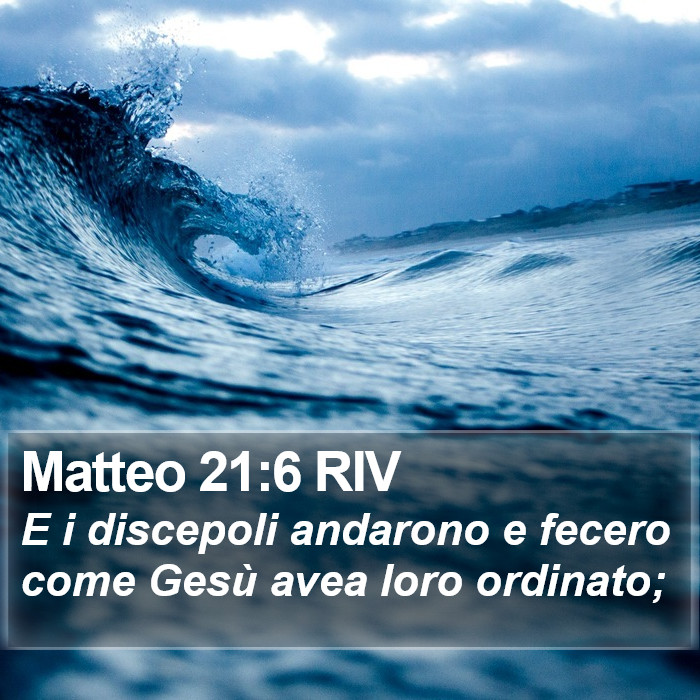 Matteo 21:6 RIV Bible Study