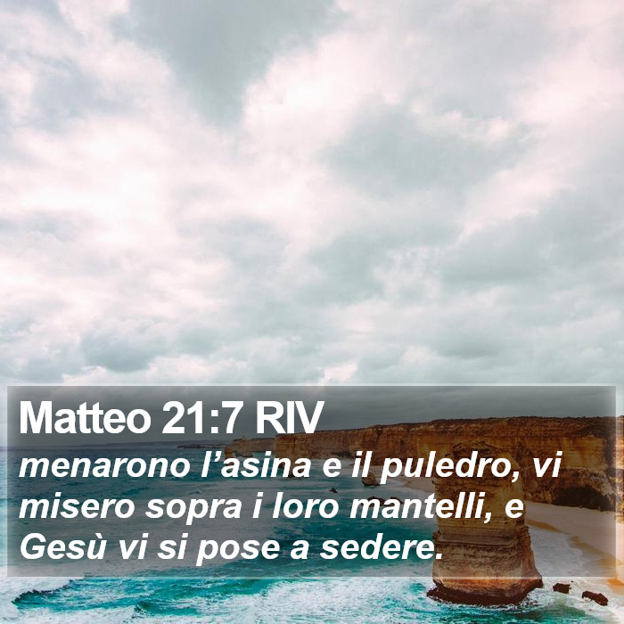 Matteo 21:7 RIV Bible Study