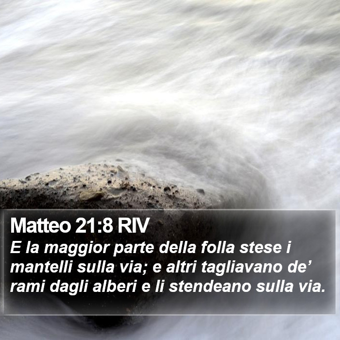 Matteo 21:8 RIV Bible Study