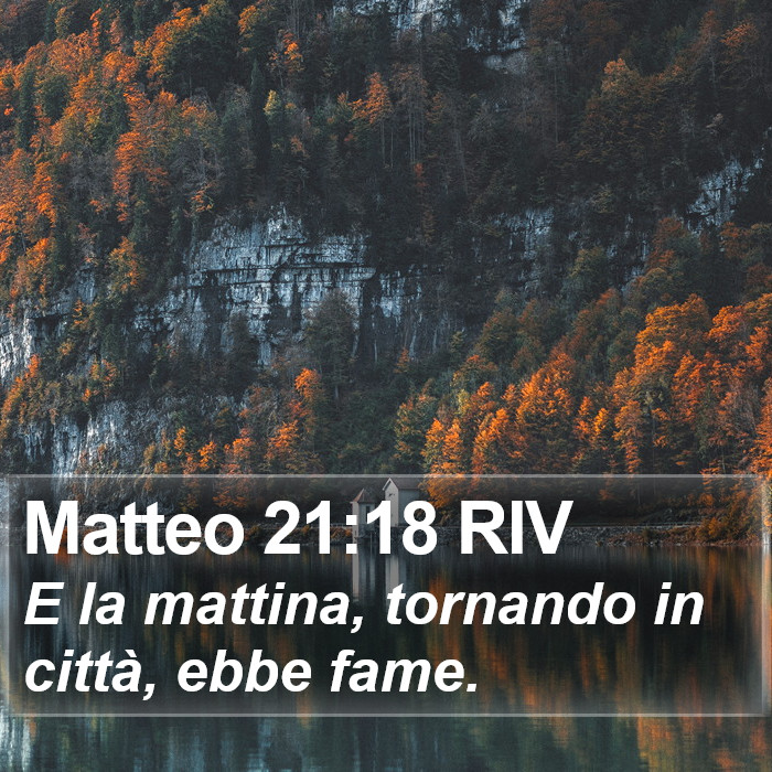 Matteo 21:18 RIV Bible Study