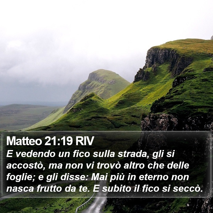 Matteo 21:19 RIV Bible Study