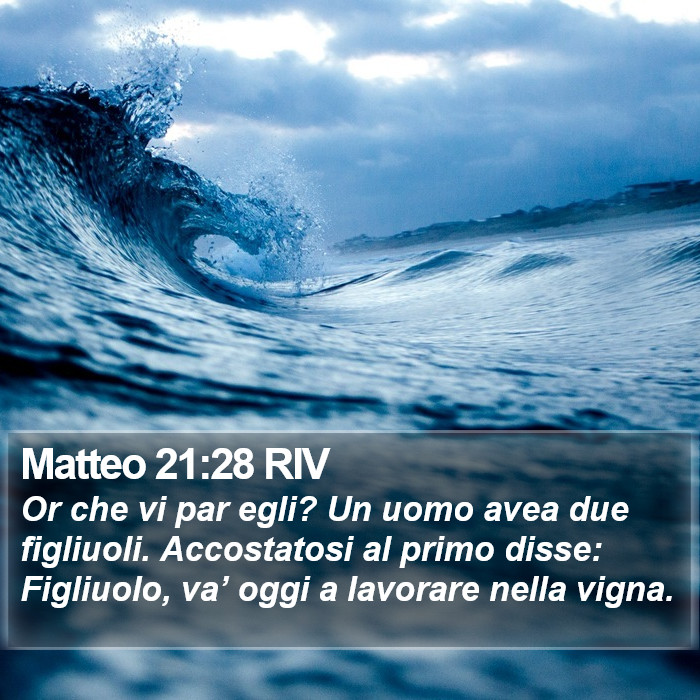 Matteo 21:28 RIV Bible Study