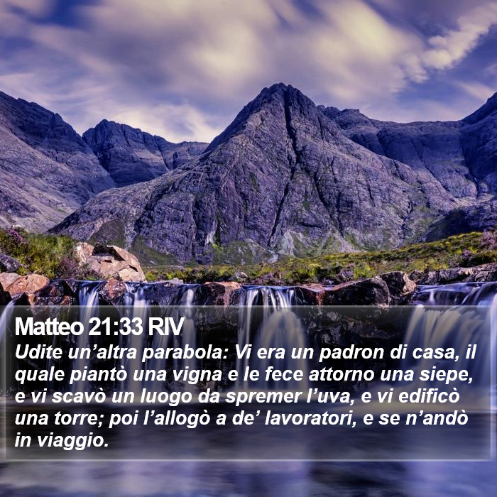 Matteo 21:33 RIV Bible Study