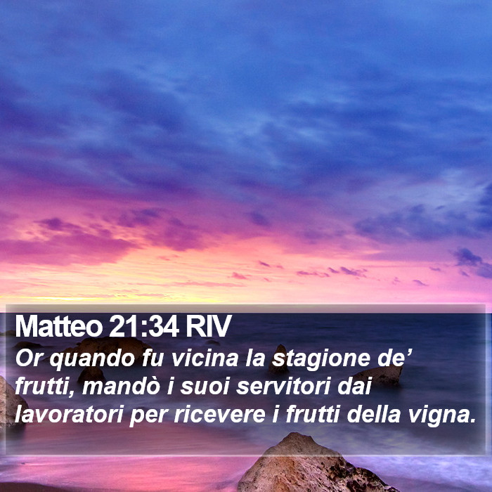 Matteo 21:34 RIV Bible Study