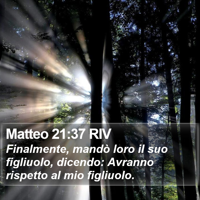 Matteo 21:37 RIV Bible Study