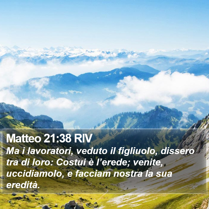 Matteo 21:38 RIV Bible Study