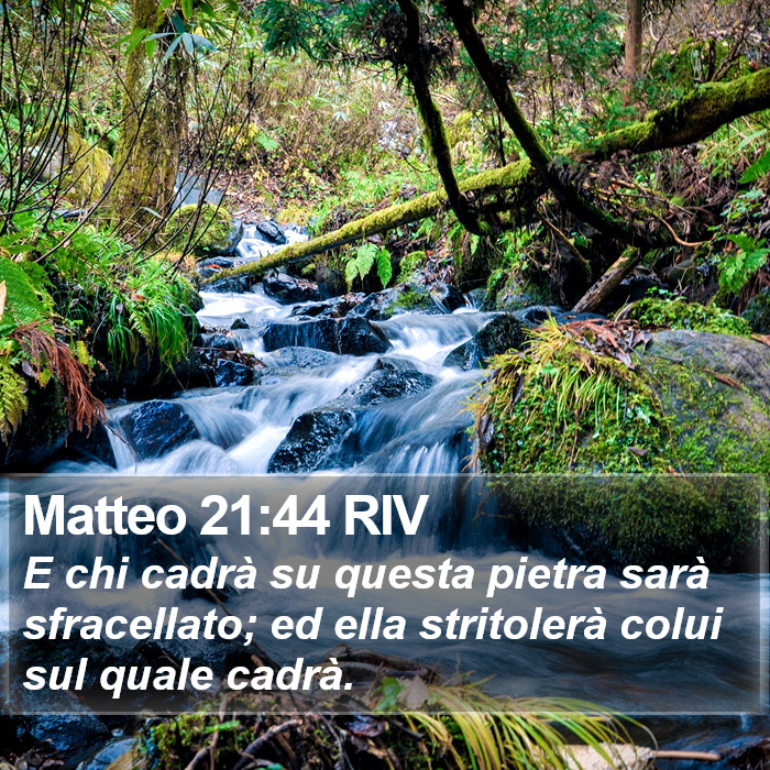 Matteo 21:44 RIV Bible Study