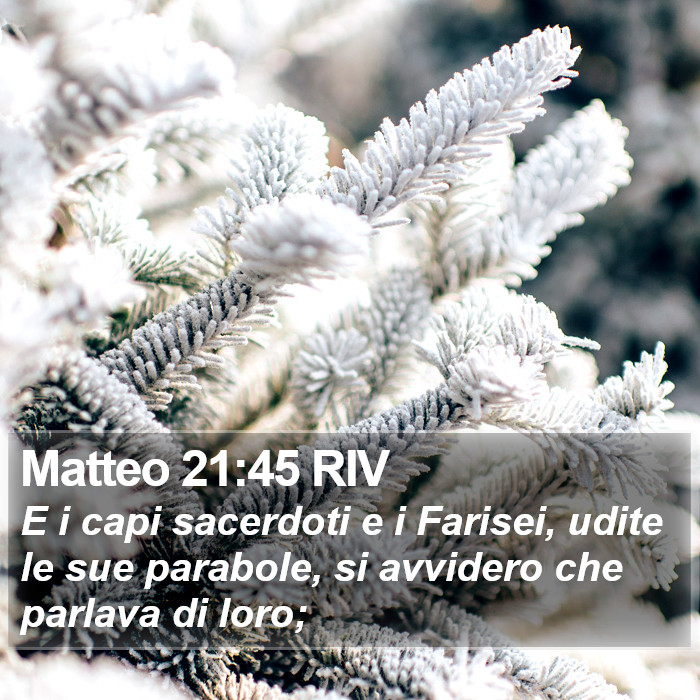 Matteo 21:45 RIV Bible Study