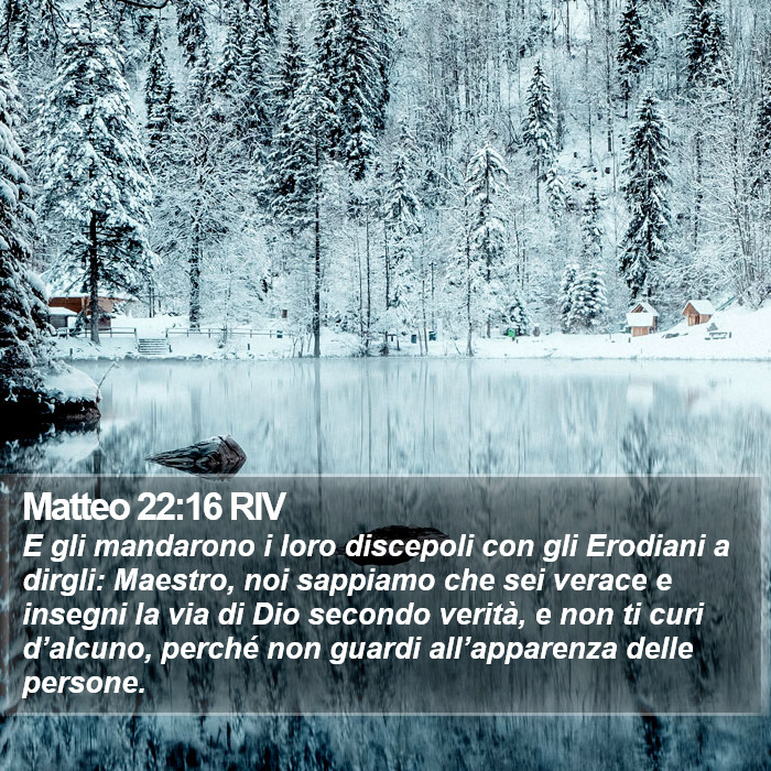 Matteo 22:16 RIV Bible Study