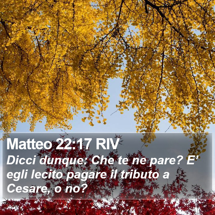 Matteo 22:17 RIV Bible Study