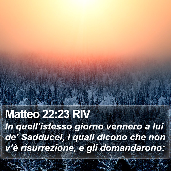 Matteo 22:23 RIV Bible Study