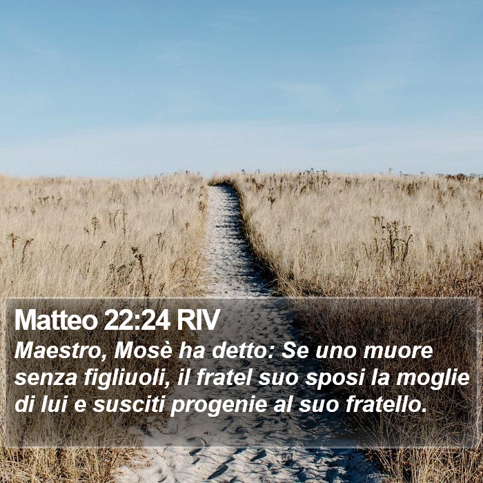 Matteo 22:24 RIV Bible Study