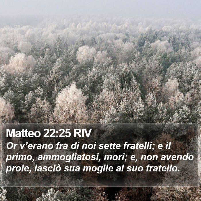 Matteo 22:25 RIV Bible Study