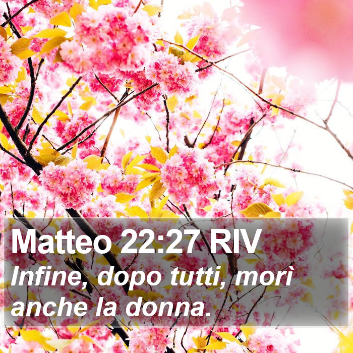 Matteo 22:27 RIV Bible Study