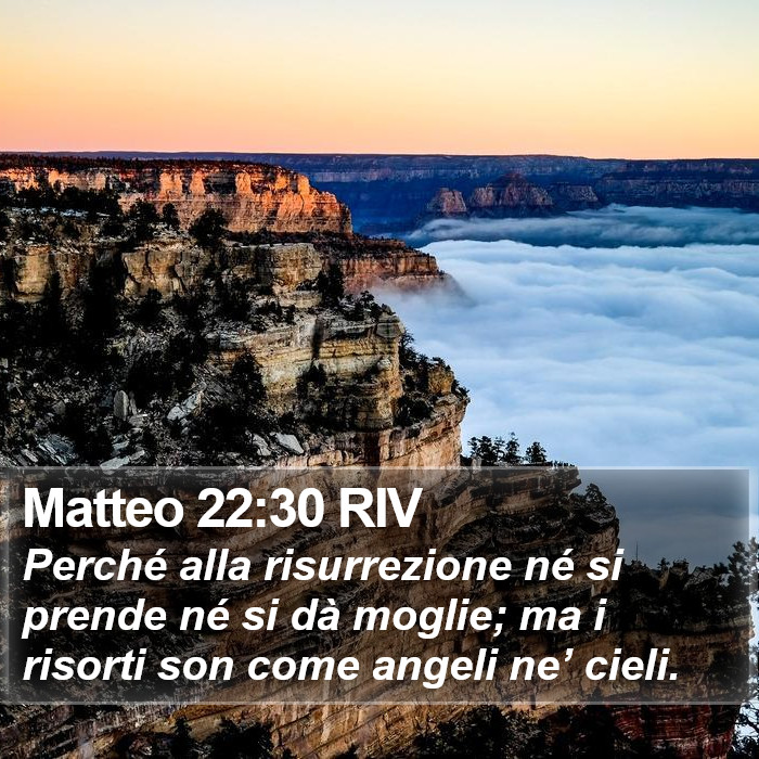 Matteo 22:30 RIV Bible Study