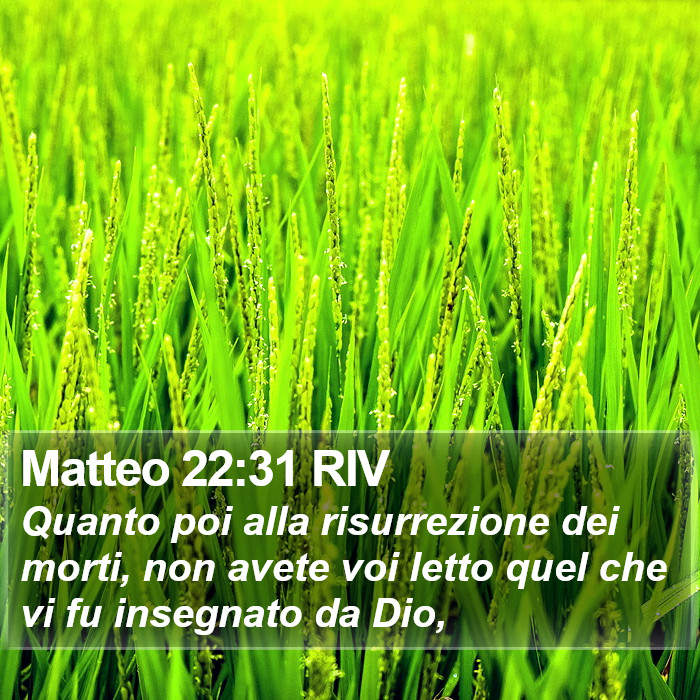 Matteo 22:31 RIV Bible Study