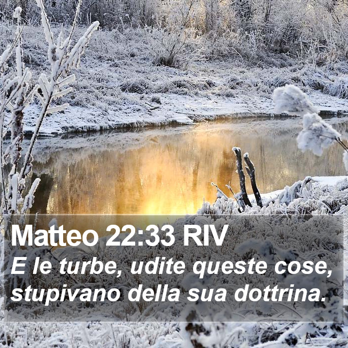 Matteo 22:33 RIV Bible Study