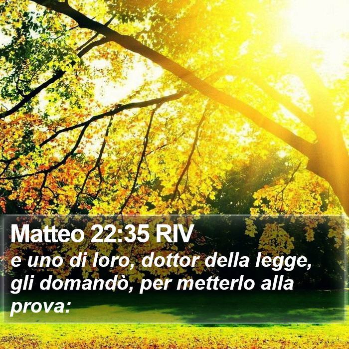 Matteo 22:35 RIV Bible Study