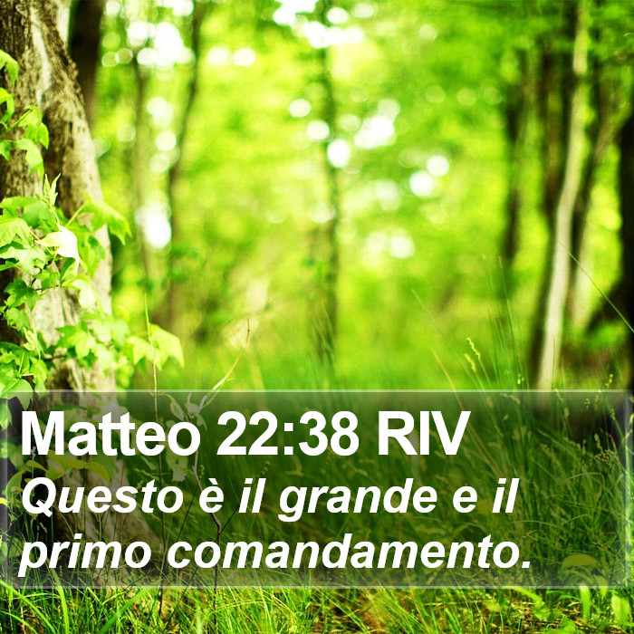 Matteo 22:38 RIV Bible Study