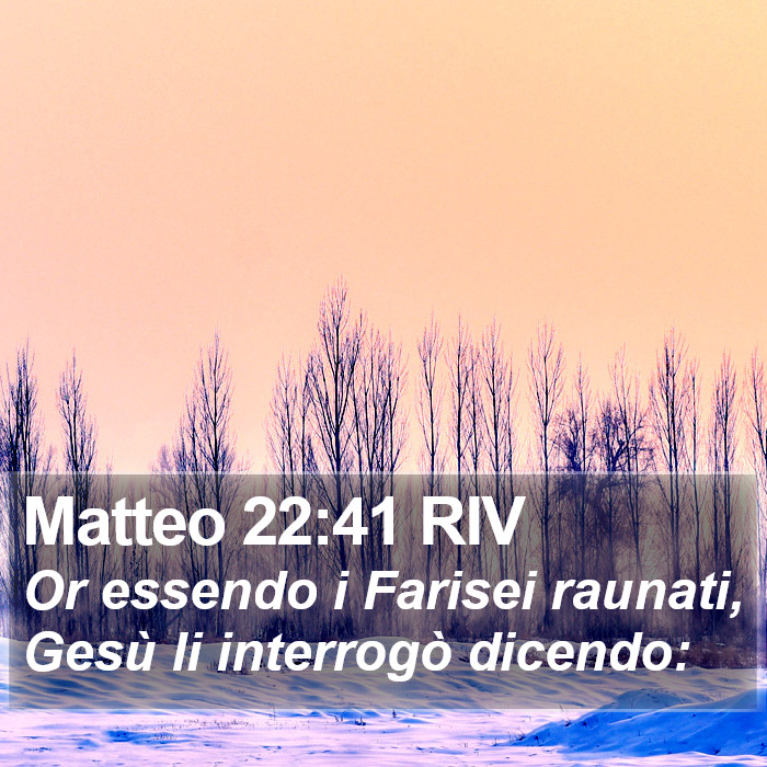 Matteo 22:41 RIV Bible Study