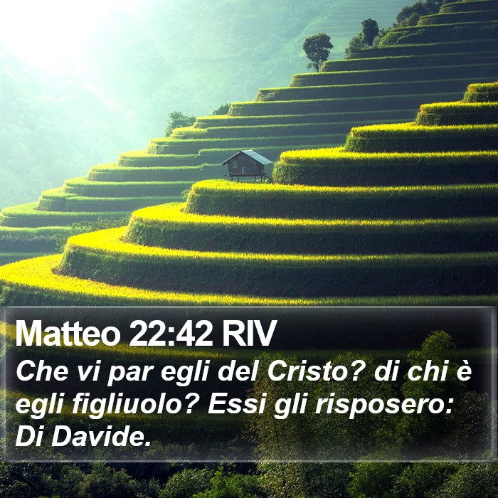 Matteo 22:42 RIV Bible Study