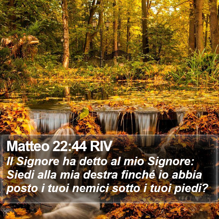 Matteo 22:44 RIV Bible Study