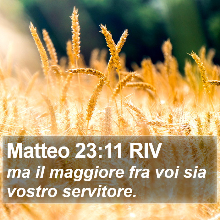 Matteo 23:11 RIV Bible Study