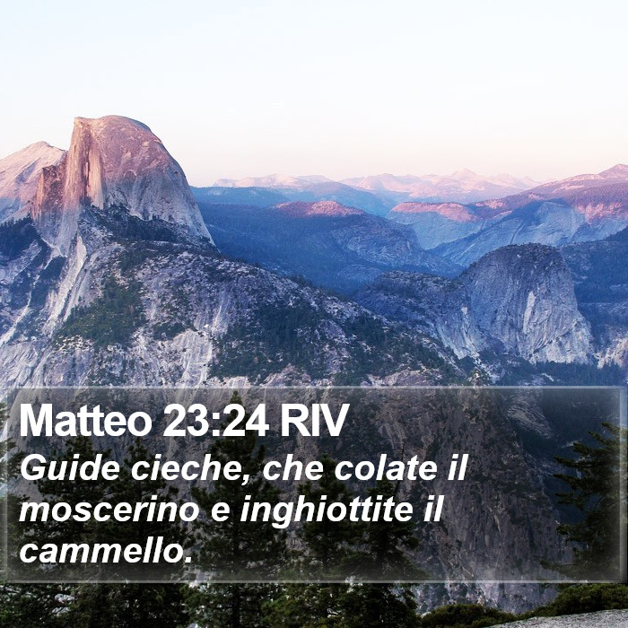 Matteo 23:24 RIV Bible Study