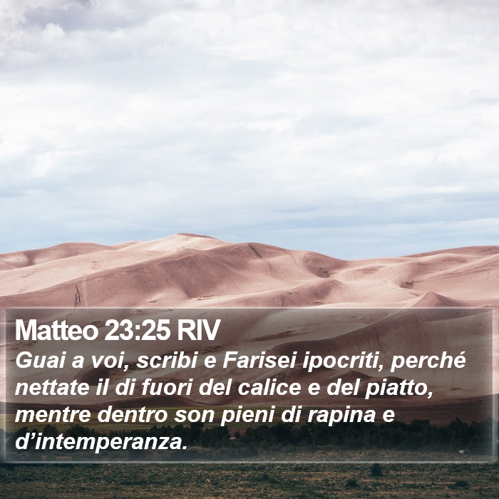 Matteo 23:25 RIV Bible Study