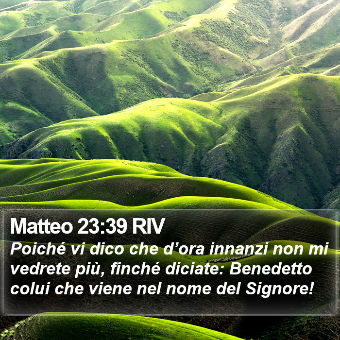 Matteo 23:39 RIV Bible Study