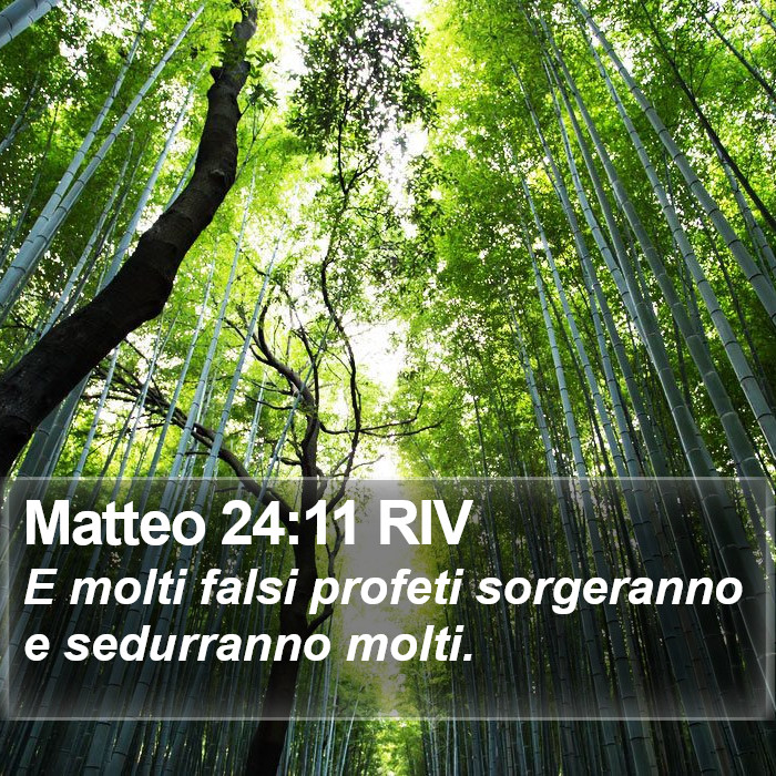 Matteo 24:11 RIV Bible Study