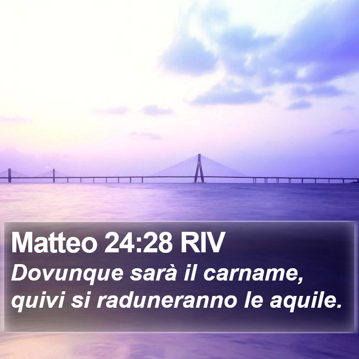 Matteo 24:28 RIV Bible Study