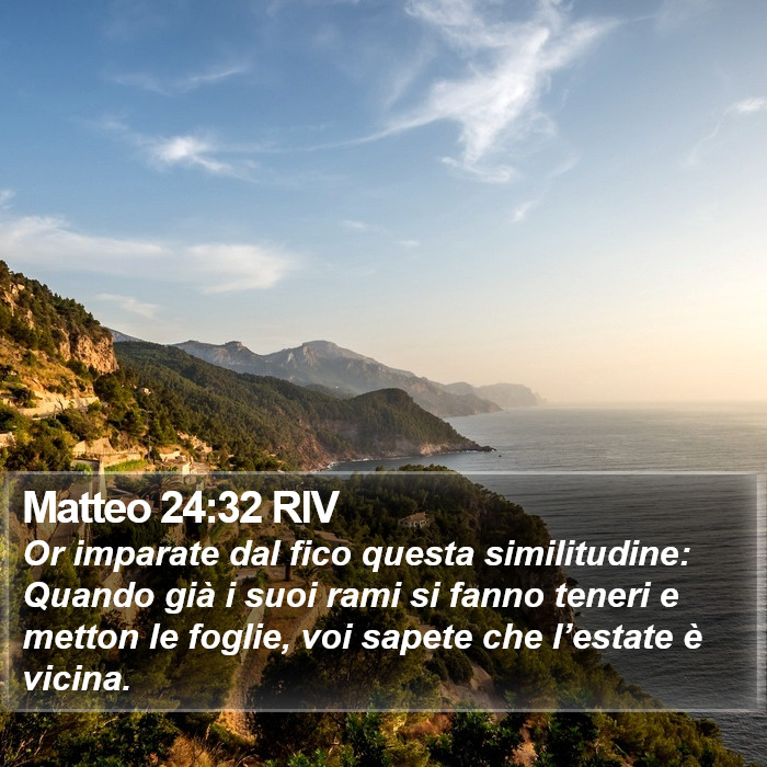 Matteo 24:32 RIV Bible Study