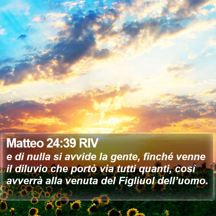 Matteo 24:39 RIV Bible Study