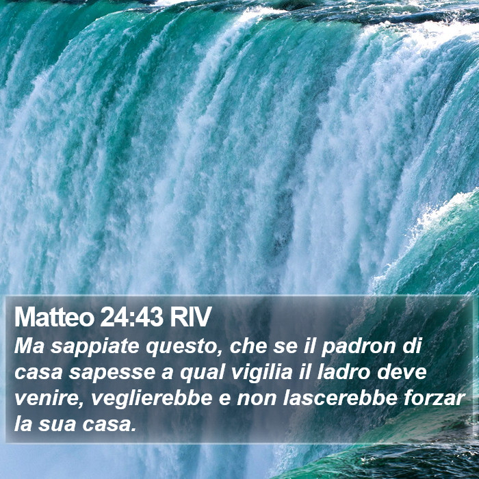 Matteo 24:43 RIV Bible Study