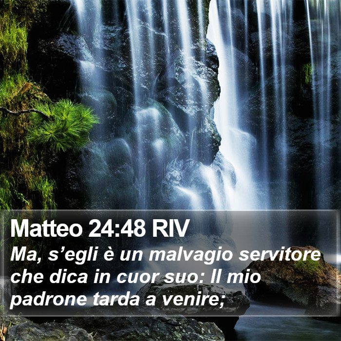 Matteo 24:48 RIV Bible Study